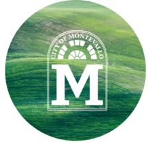 Sustainable Montevallo's avatar